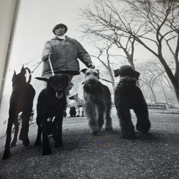 Eisenstaedt’s Guide to Photography, 1978, First Edition - Picture 5 of 14